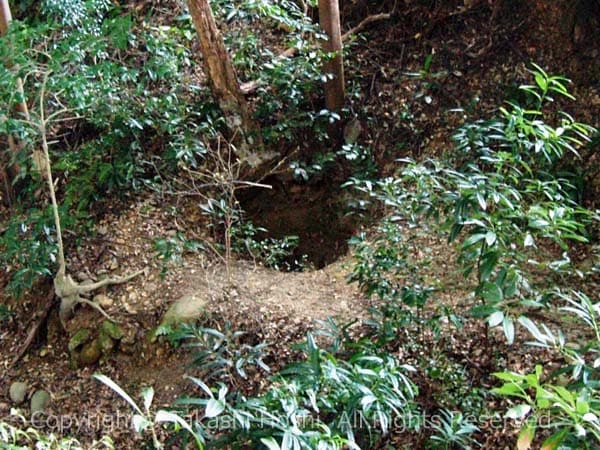 小山城の勘助井戸