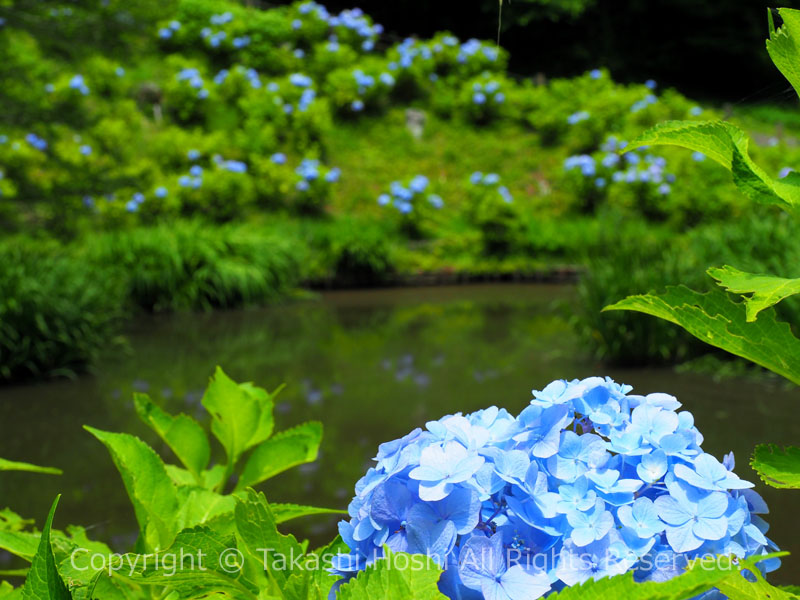 山中城の箱井戸