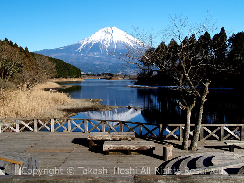 休暇村富士 展望デッキから望む富士山
