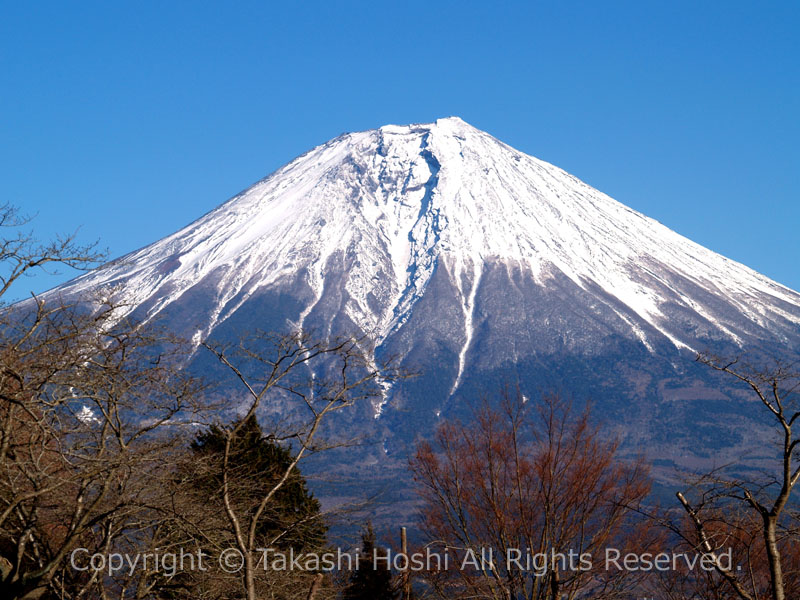 富士山