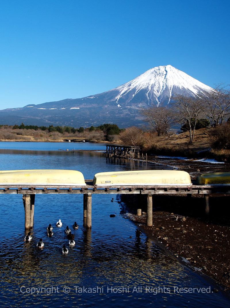 田貫湖キャンプ場から望む富士山
