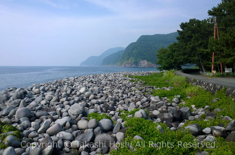 御浜岬 外海