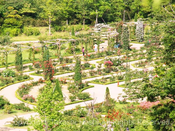 河津バガテル公園のフランス式庭園