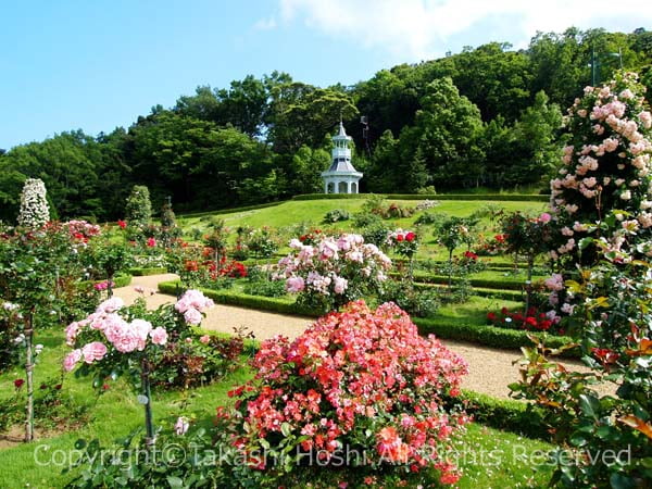 河津バガテル公園のキオスク