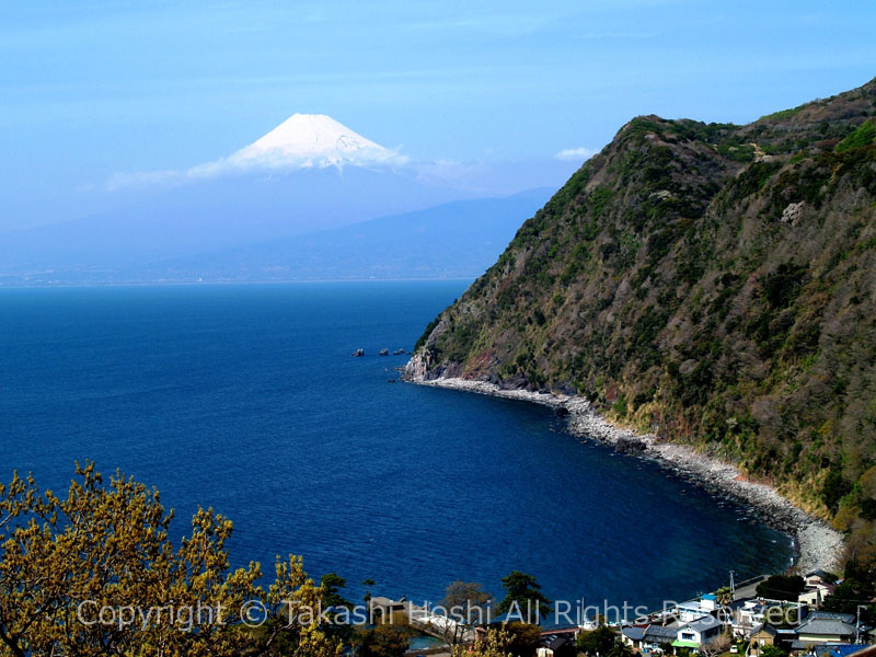 煌めきの丘から望む富士山