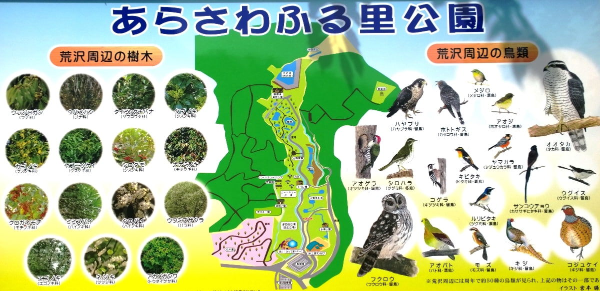 あらさわふる里公園 案内図