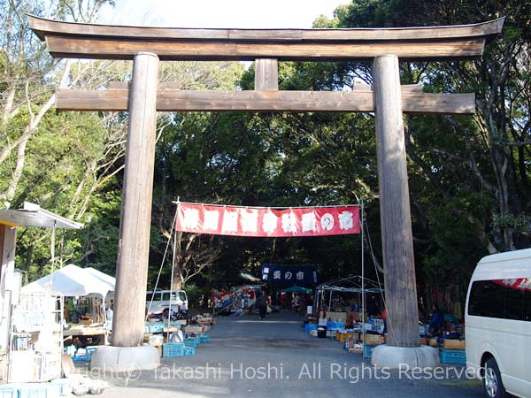 靜岡縣護國神社の一の鳥居と蚤の市