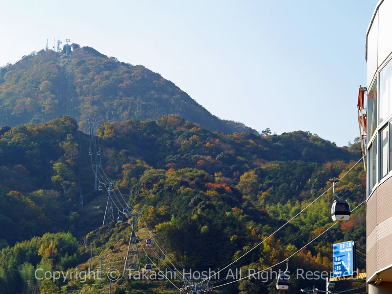 葛城山山頂へと伸びる伊豆パノラマパークロープウェイ