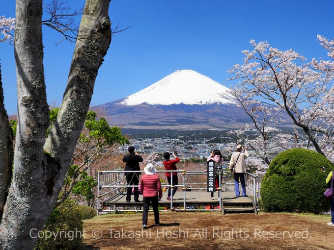 御殿場平和公園の富士山見晴台
