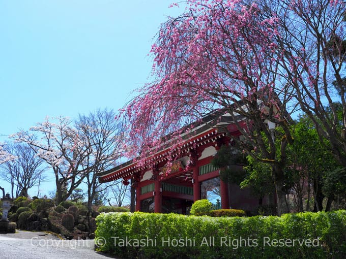 平和公園の仁王門