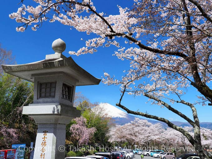 平和公園から望む富士山