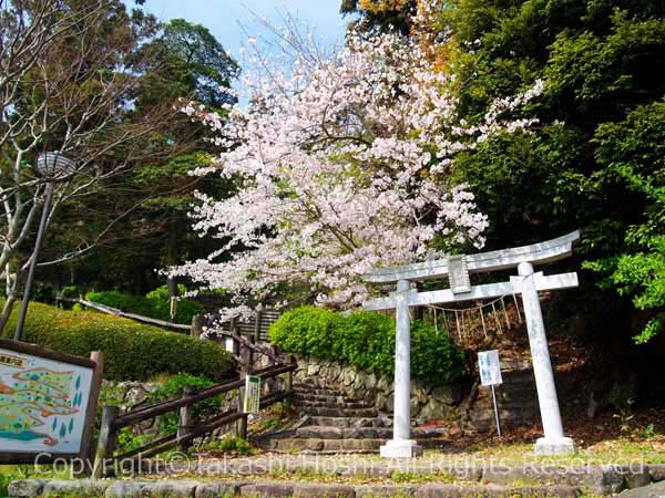 秋葉公園入口