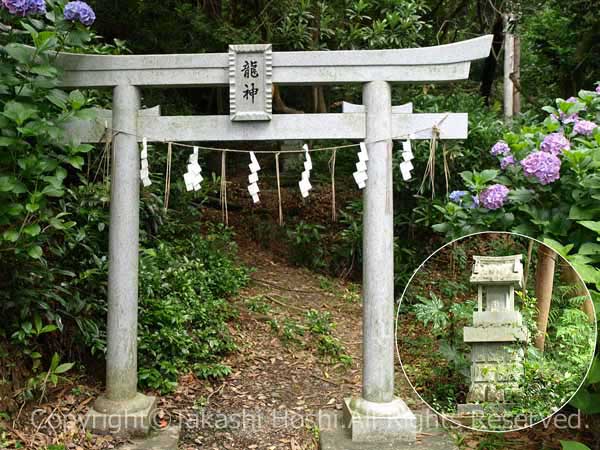 秋葉公園の龍神様