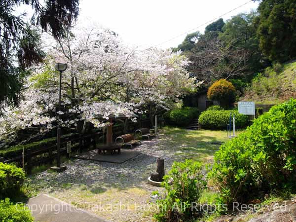 秋葉公園の憩いの広場