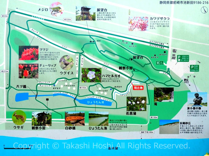 白砂公園 案内図