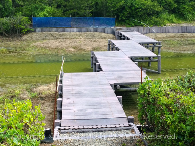 ひょうたん池の八ツ橋