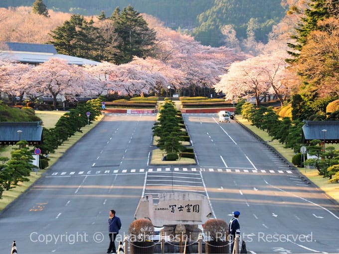 冨士霊園
