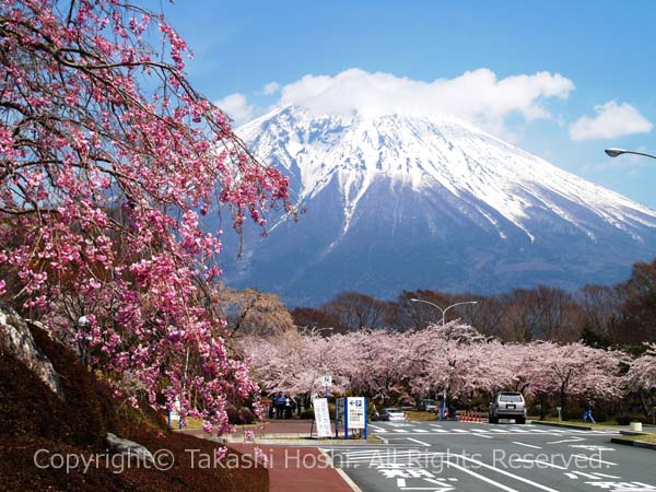 富士桜自然墓地公園からの富士山