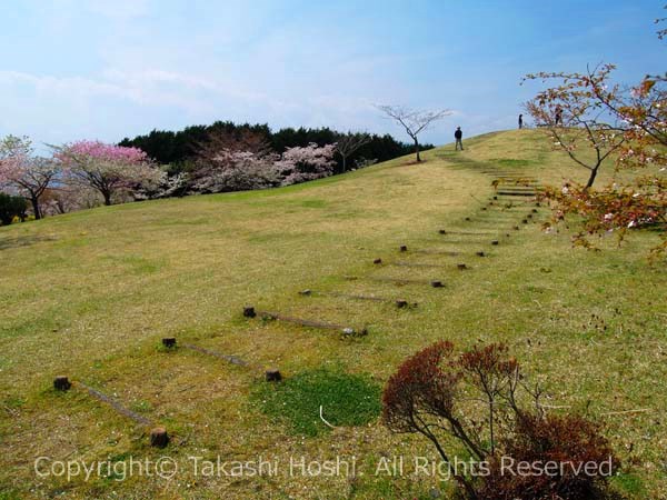 富士桜自然墓地公園の展望広場