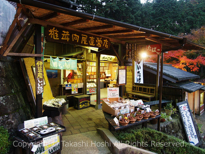 伊豆の椎茸問屋