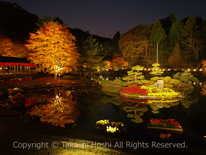 修善寺虹の郷の日本庭園のもみじライトアップ