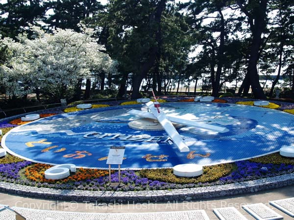 松原公園の世界一の花時計