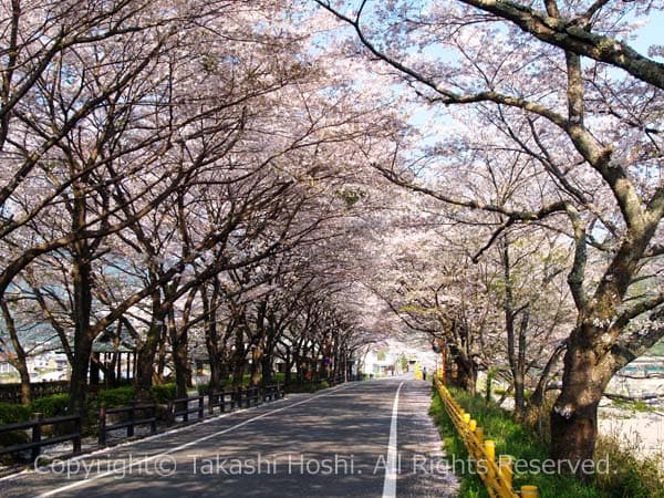 緑地公園前の新桜トンネル