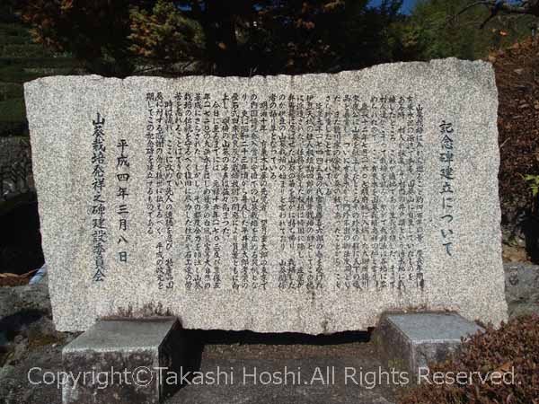 有東木の記念碑建立についての石碑