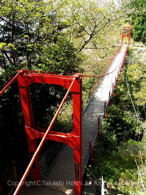 御殿山遊歩道にあるさくらつり橋