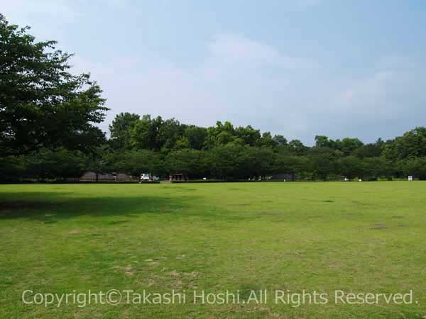 柏谷公園の芝生広場