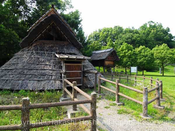 柏谷公園の竪穴式住居