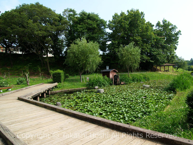 柏谷公園の池