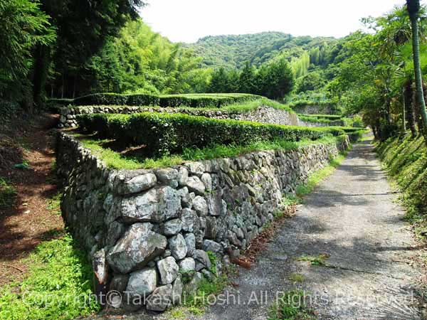 建穂寺の石垣