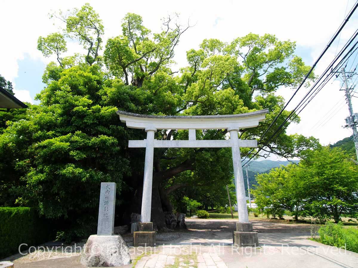 杉桙別命神社（すぎほこわけのみことじんじゃ）