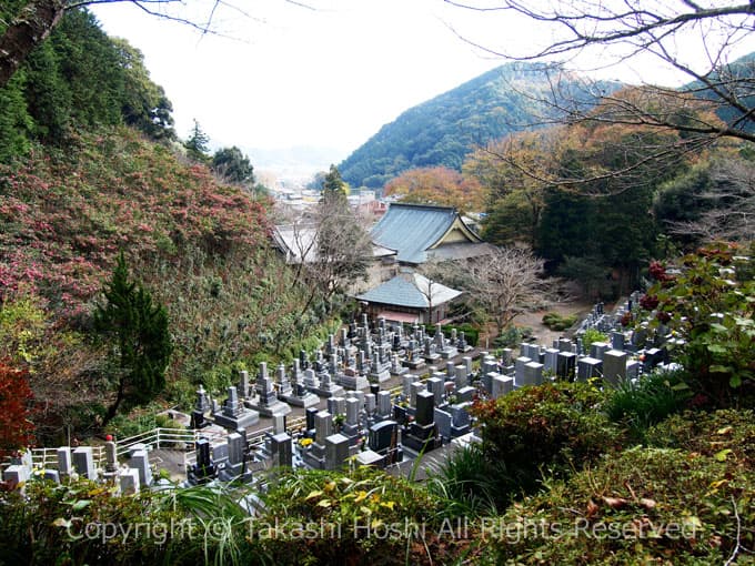 増善寺の境内