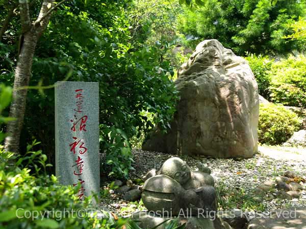 増善寺の招福達磨