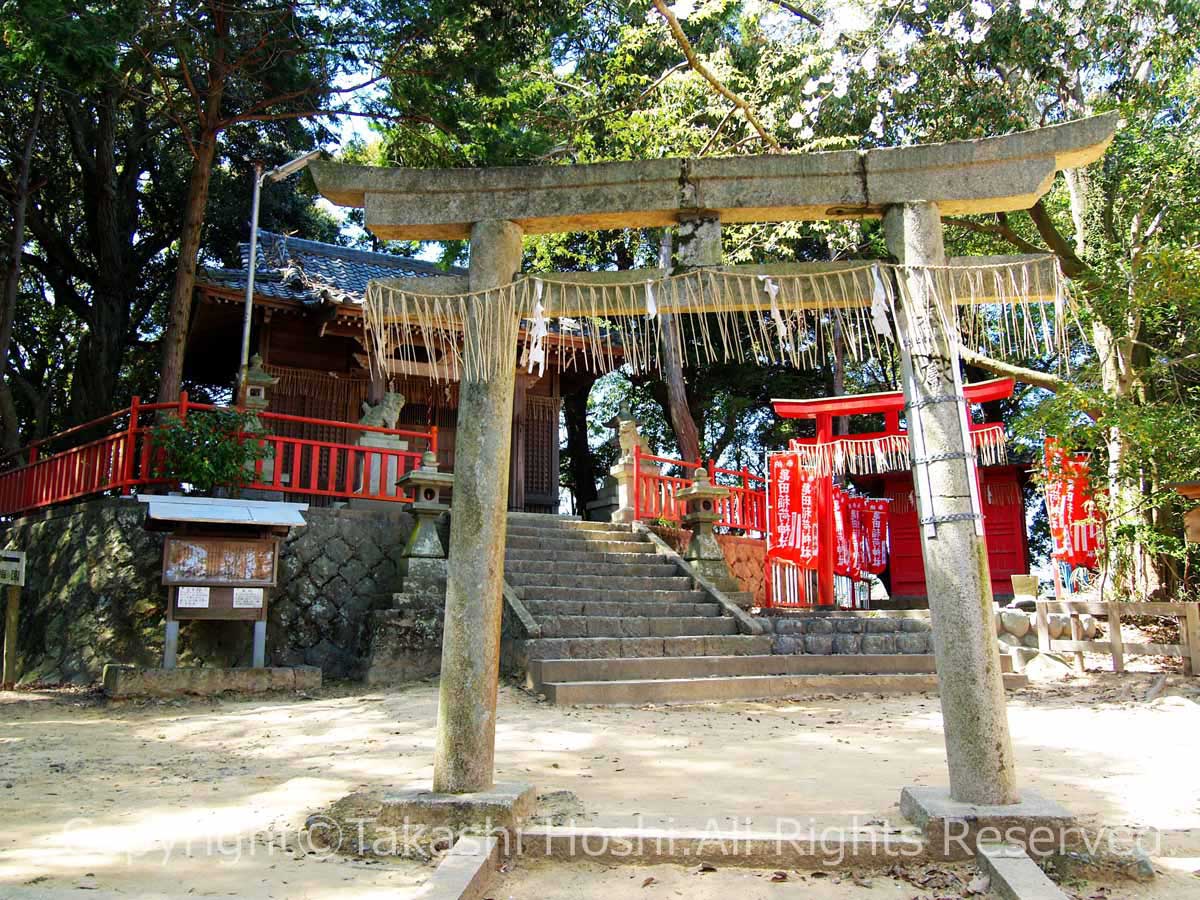 金比羅山緑地公園の金刀比羅神社と亀田稲荷神社