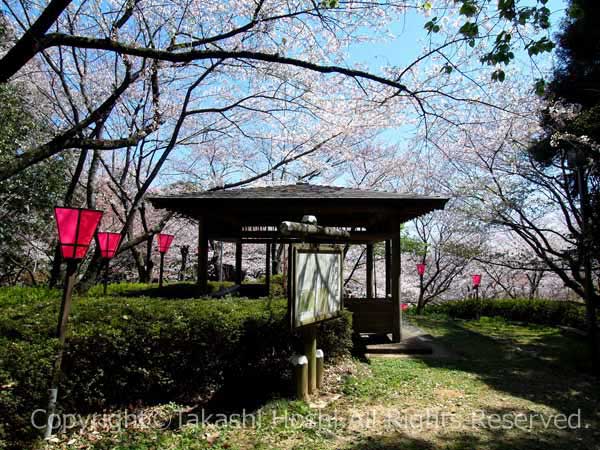 金比羅山緑地公園の秋月の広場