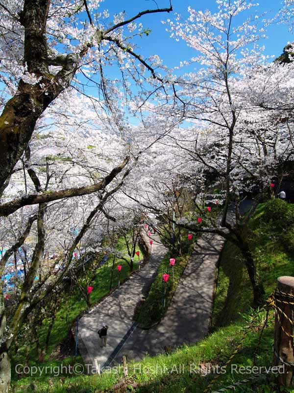 金比羅山緑地公園のつづら折り