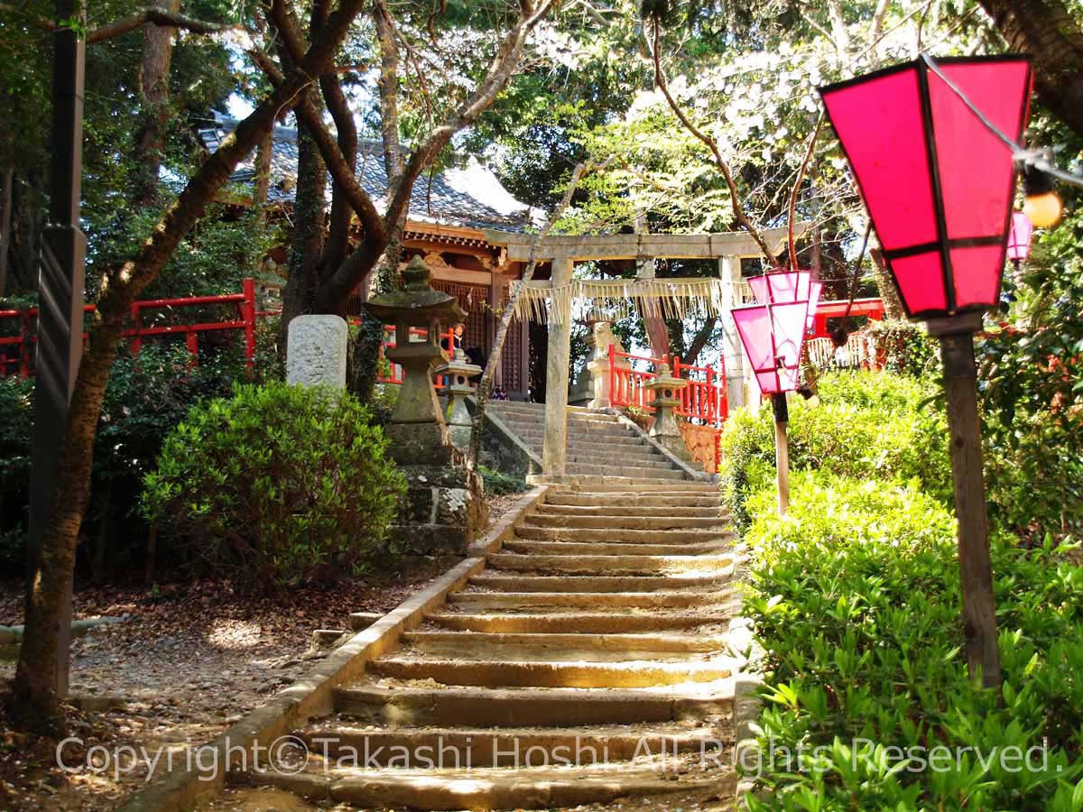 金刀比羅神社の参道