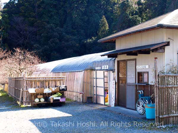 相良梅園のチケット売り場と売店