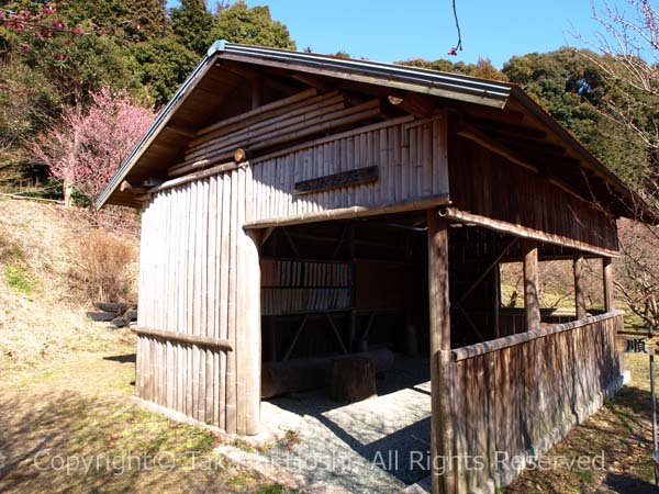 相良梅園のお休み処