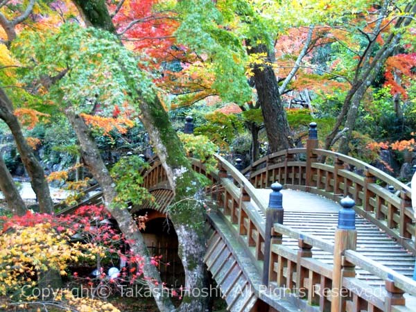 雙眉橋の紅葉