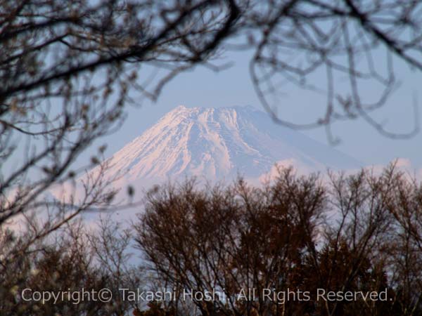 富士山