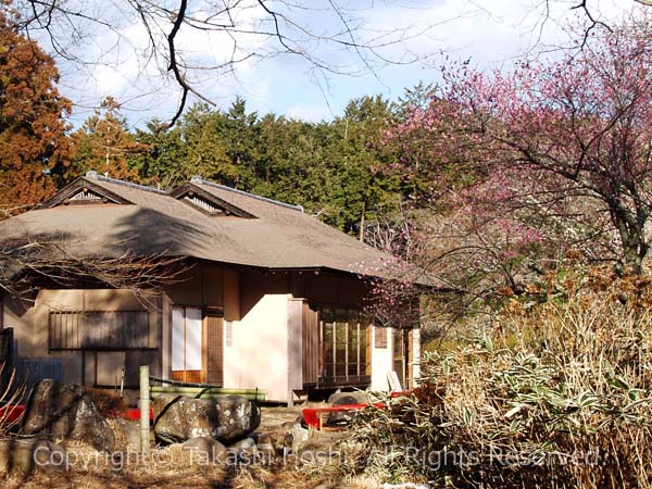 新井旅館茶室「双皎山荘」