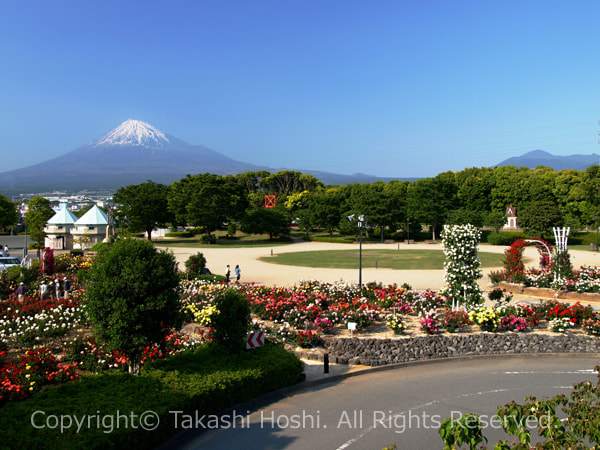 富士市中央公園