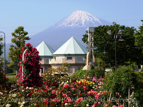 富士市中央公園から望む富士山