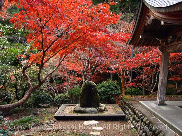 梅花流発祥之地