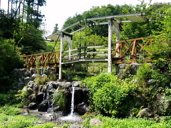 八重桐の池はね橋