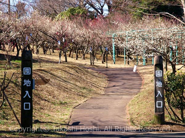 日本平梅園入口